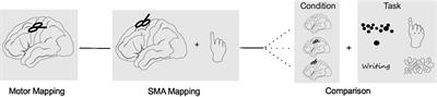 Protocol for mapping of the supplementary motor area using repetitive navigated transcranial magnetic stimulation